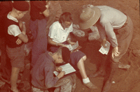 L'arch&eacute;ologie nazie en Europe de l'Ouest