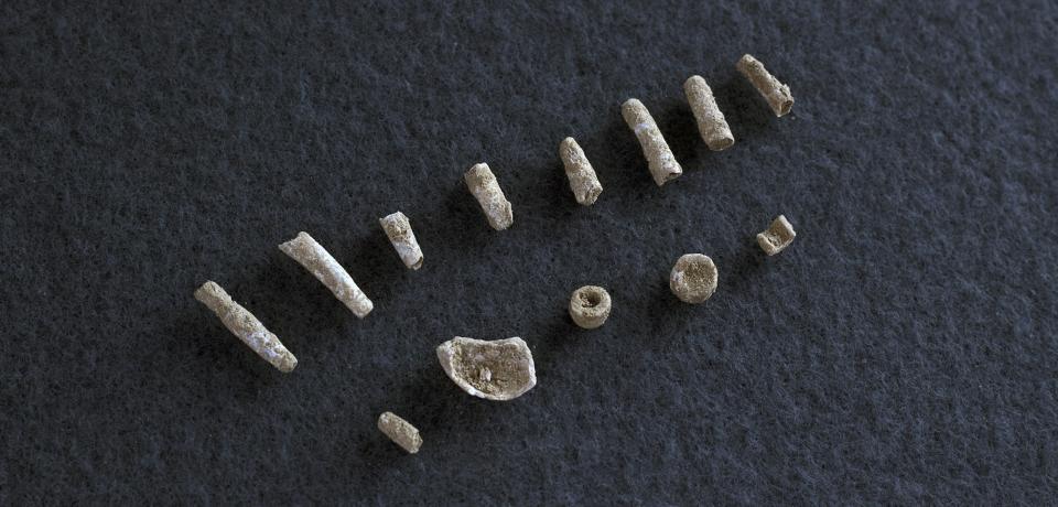 Des s&eacute;pultures du N&eacute;olithique ancien, environ 5000 ans avant notre &egrave;re