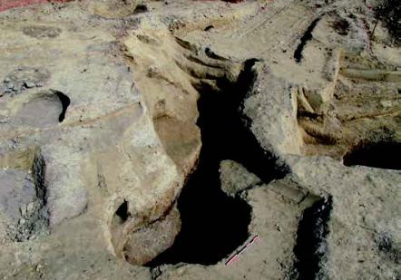 DAP 12 | Trélissac « Borie Porte » (Dordogne)