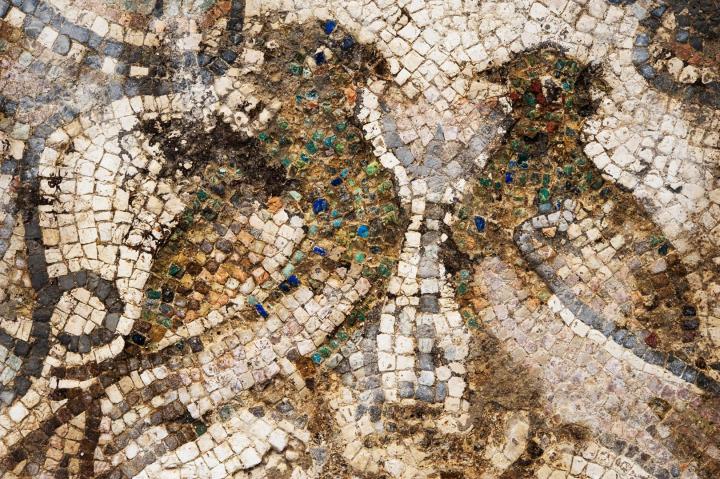 Deux paons de part et d'autre d'une fleur. D&eacute;tail d'une mosa&iuml;que qui d&eacute;corait le sol du palais &eacute;piscopal au Ve si&egrave;cle.