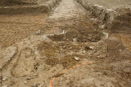 Le Monde.fr du 24 décembre publie une tribune de Jean-Paul Jacob consacrée au pillage