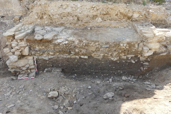 D&eacute;tail d&rsquo;une coupe