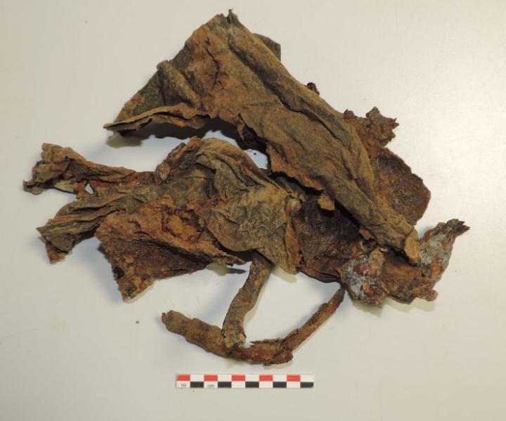 Bouée utilisée lors du débarquement, Blainville sur Orne