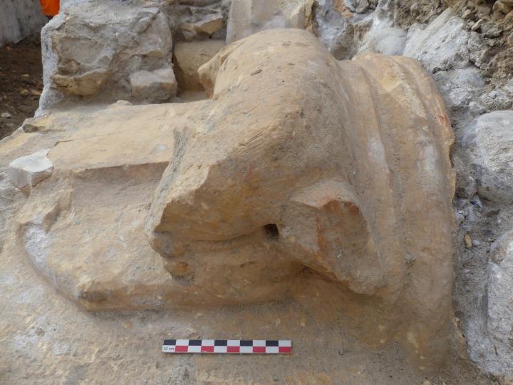 D&eacute;tail d&rsquo;un chapiteau zoomorphe provenant du clo&icirc;tre, ces &eacute;l&eacute;ments ont &eacute;t&eacute; d&eacute;pos&eacute;s suite &agrave; l&rsquo;intervention Inrap.