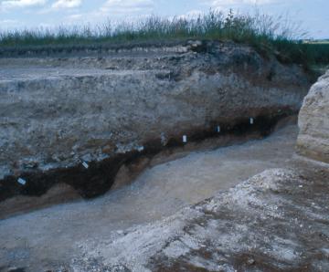 RD 394 (voie romaine)