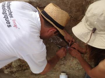 Dans les pas des mammouths de Montereau-sur-le-Jard  (Seine-et-Marne)