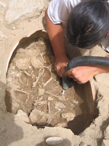 À Amélie-les-Bains (Pyrénées-Orientales), la découverte d'un terroir antique
