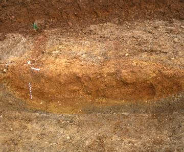 Vallée des Grignards