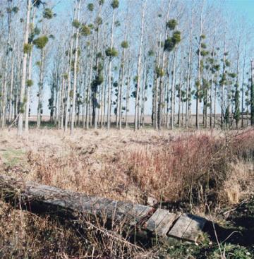 Parc logistique de l'Aube 2008