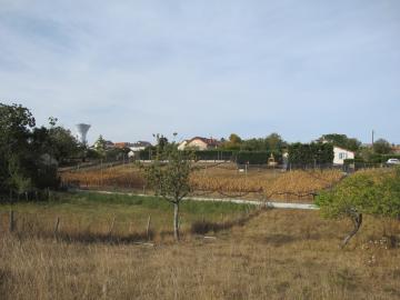 Les Ripottes, 24 rue du Rio