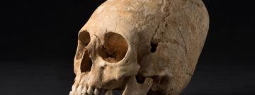 Parc d'Activités Economiques Intercommunal