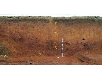 Détail de la coupe stratigraphique