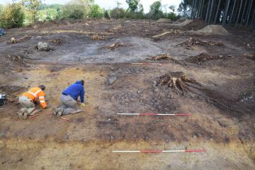 Caulnes, Le Bois de la Haie