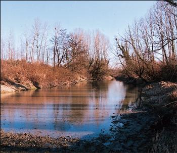 Lône du Marquisat et des Colonnes