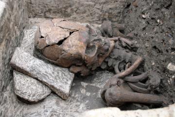 Coussin céphalique en blocs de calcaire