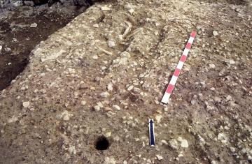 Anciens établissements Picard