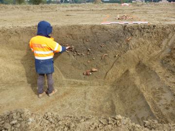 Conférence : Des Gaulois dans la plaine de la Garonne à Verdun-sur-Garonne 