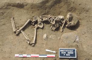 Un ensemble de fermes gauloises r&eacute;v&eacute;l&eacute;es par une fouille pr&eacute;ventive &agrave; Bretteville-sur-Odon