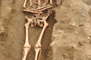 Le Mans, la Visitation, visuel 10