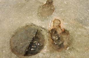 12- La Chevroli&egrave;re dscn2071