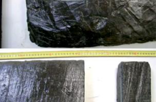 Le Buisson Ribeau, Lac VII