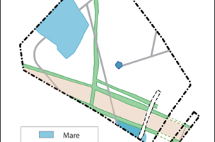 Le Buisson Ribeau, Lac VIII