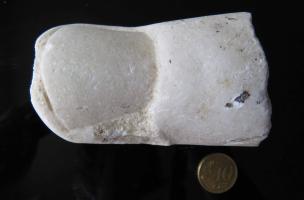 19 - Coll&egrave;ge Victor Hugo &agrave; Narbonne - fouille du Capitole, 2017