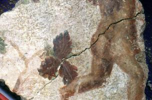 57, rue des Capucins, 14-20, rue Boulard