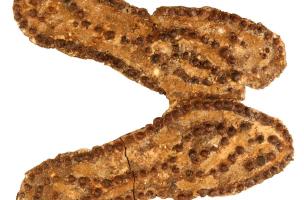 17-19  rue Mont d'Ar&egrave;ne et 6-8  rue Maucroix