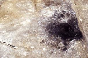 75 bis, avenue Jean Jaurès