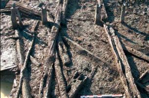 Les maisons fortes du bas Moyen &Acirc;ge &agrave; Chevagnes