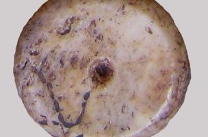 Saint-R&eacute;my, Montlouis