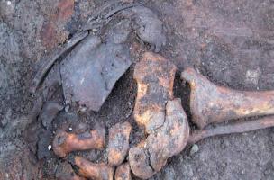 &Icirc;lot Berger-Levrault