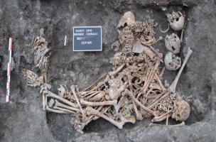 &Icirc;lot Berger-Levrault