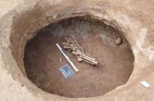 Bois M&eacute;dor et Vieux Chemin d'&Eacute;tampes