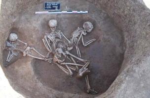 Bois M&eacute;dor et Vieux Chemin d'&Eacute;tampes