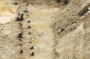 Clinique des Dames Blanches