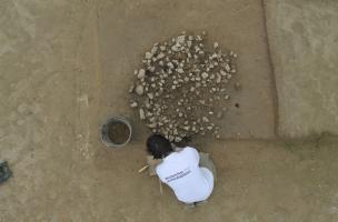 Les Lignes de la Gonz&eacute;e