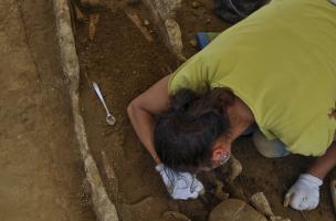 Les Lignes de la Gonz&eacute;e