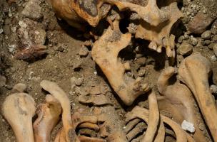 Église Saint-Pierre-et-Saint-Paul