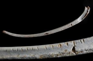 6-1-6 Côte gravée - Vallée de l'Erve