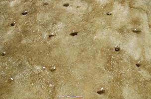 La Salmondi&egrave;re