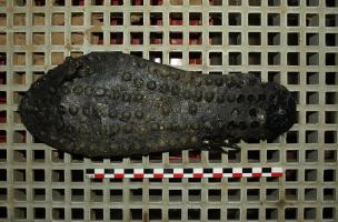 Chemin Bezard, Chemin de Rouy