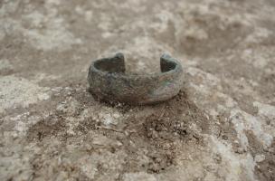 Une nécropole protohistorique à Marigny-le-Châtel, inhumations et incinérations