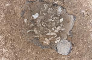 Une nécropole protohistorique à Marigny-le-Châtel, inhumations et incinérations