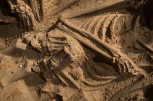 D&eacute;tail des individus qui se superposent (salle 5) 