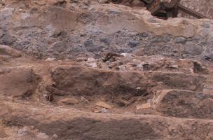 1<sup>re</sup> fouille pr&eacute;ventive &agrave; Mayotte : La sucrerie du Domaine de Coconi, carrefour de Chiconi &agrave; Ouangani