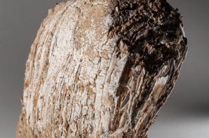 Voir l'album Voir l'album