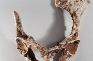 Voir l'album Voir l'album