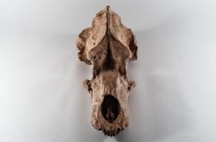 Voir l'album Voir l'album